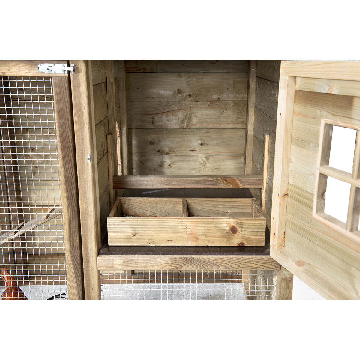 Glorenza  Kiki - Kippenhok