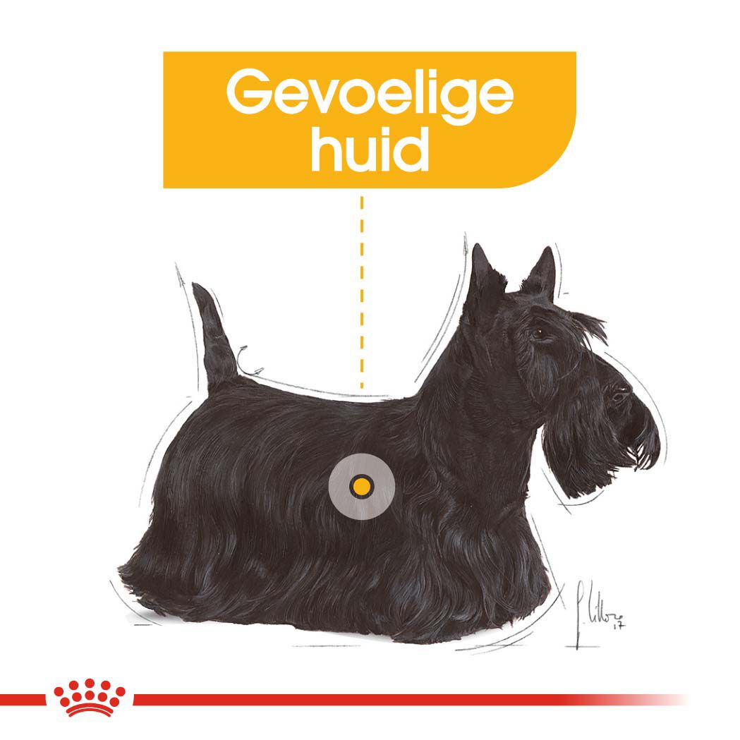 Royal Canin Dermacomfort Mini - Hondenvoer - 1 Kilogram - gevogelte