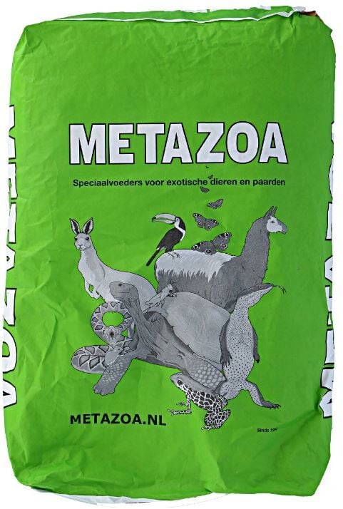 Metazoa Kangoeroekorrel