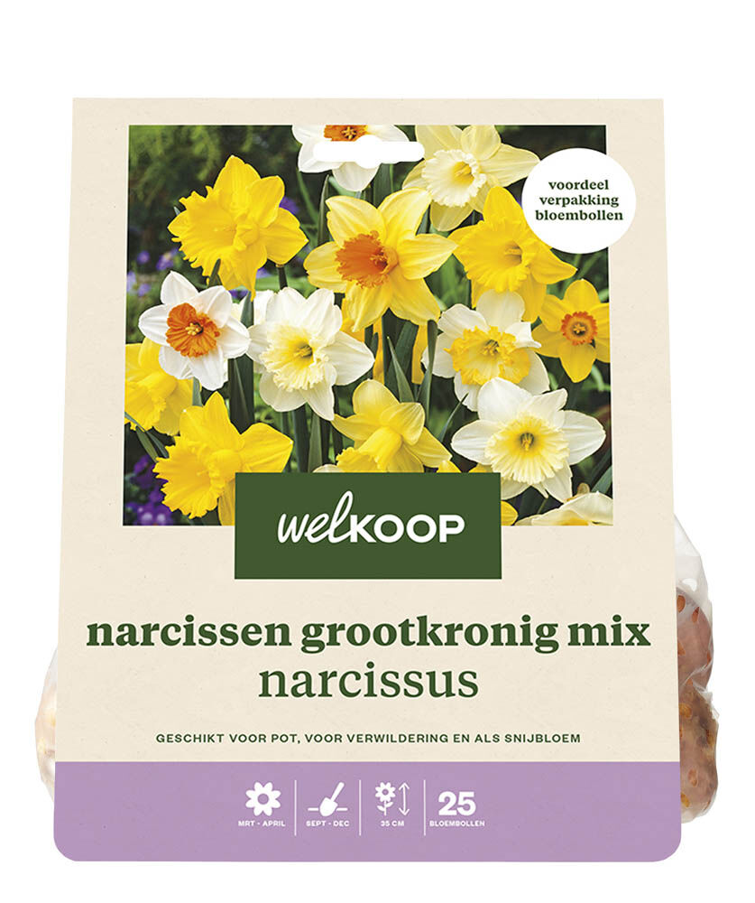 Welkoop Narcissen mix Mirije - Bloembollen