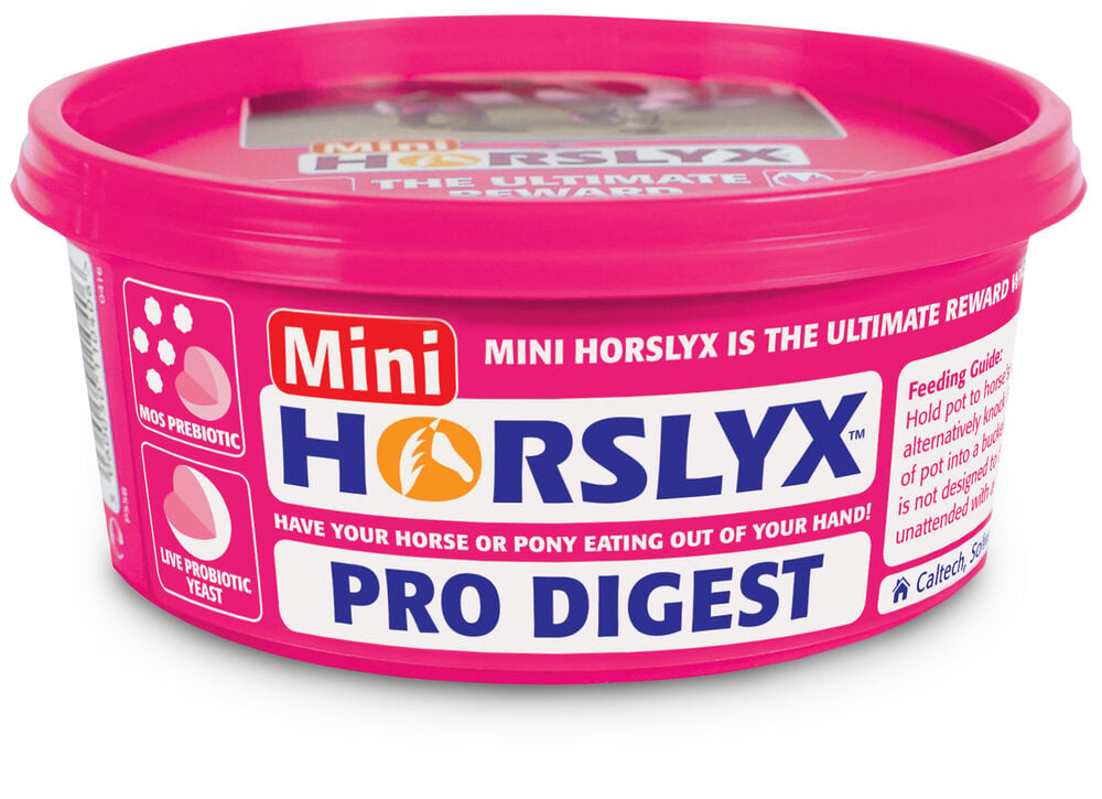 Horslyx Pro Digest - Liksteen