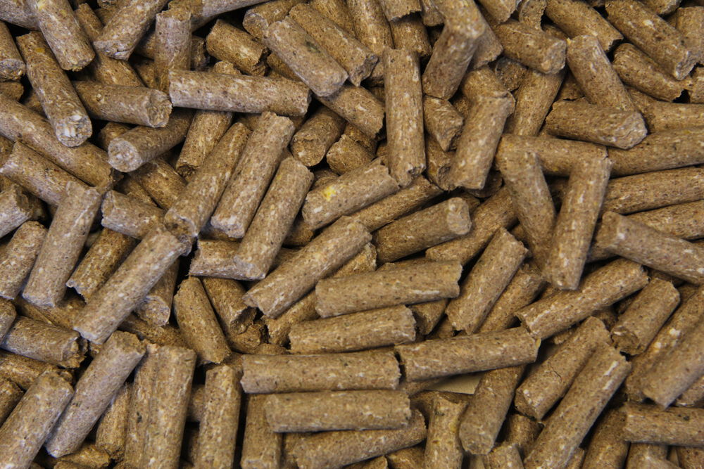 Voermeesters Basis - Basisvoeding - 20 Kilogram - Zak