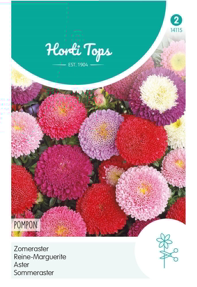 Hortitops Zomeraster Pompon - Bloemzaden Hortitops Zomeraster Pompon - Bloemzaden
