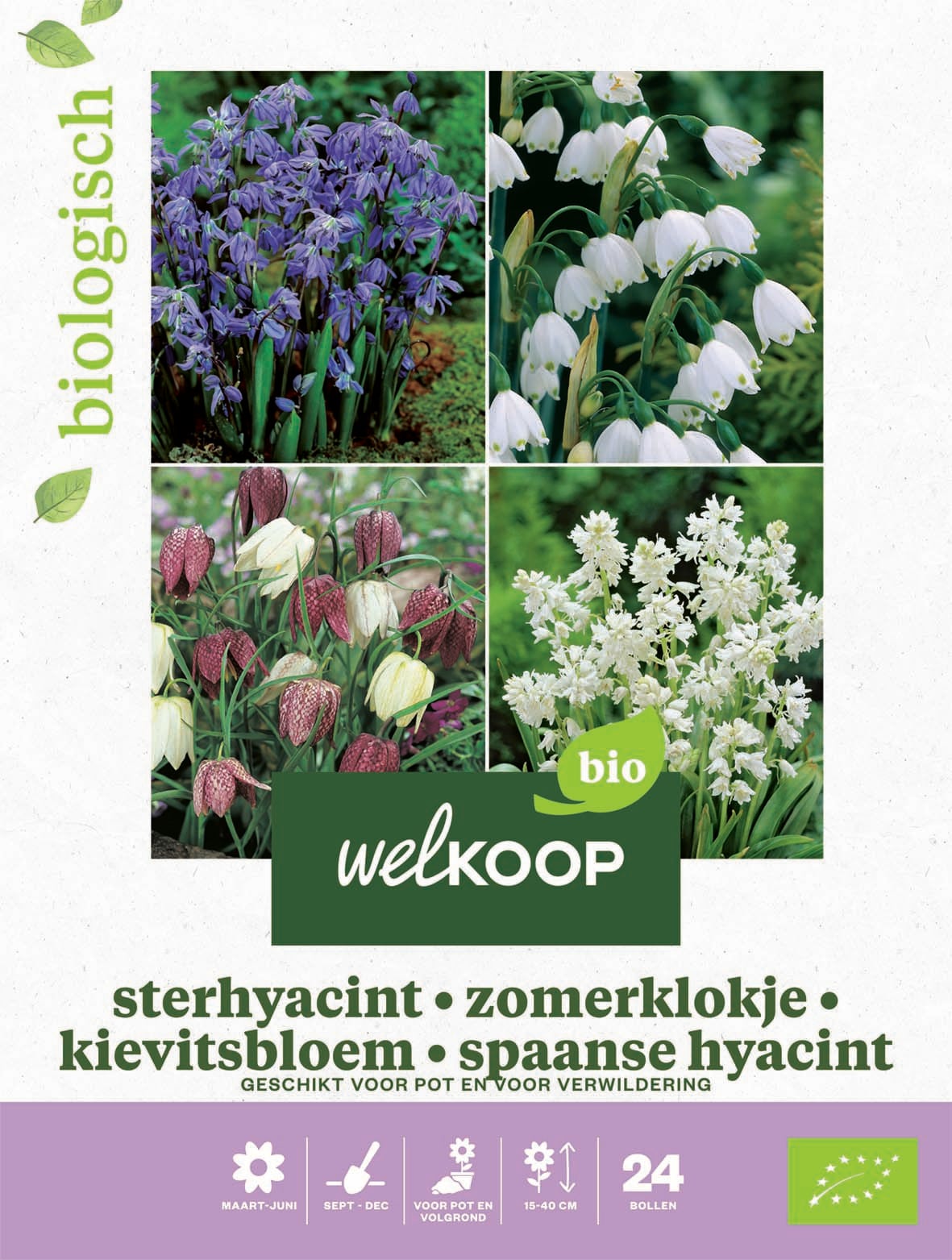 Welkoop Hyacint Allium Krokus Biologisch - Bloembollen Welkoop Hyacint Allium Krokus Biologisch - Bloembollen