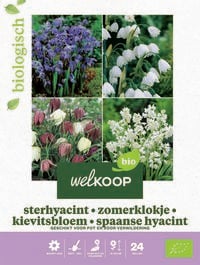 Welkoop Hyacint Allium Krokus Biologisch - Bloembollen