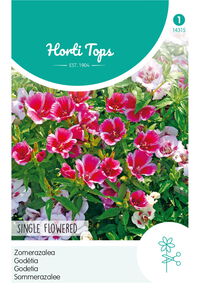 Hortitops Zomer Azalea Enkelbloemig - Bloemzaden