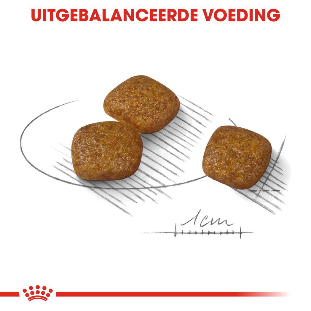 Royal Canin Urinary Care Mini - Hondenvoer - 1 Kilogram - gevogelte