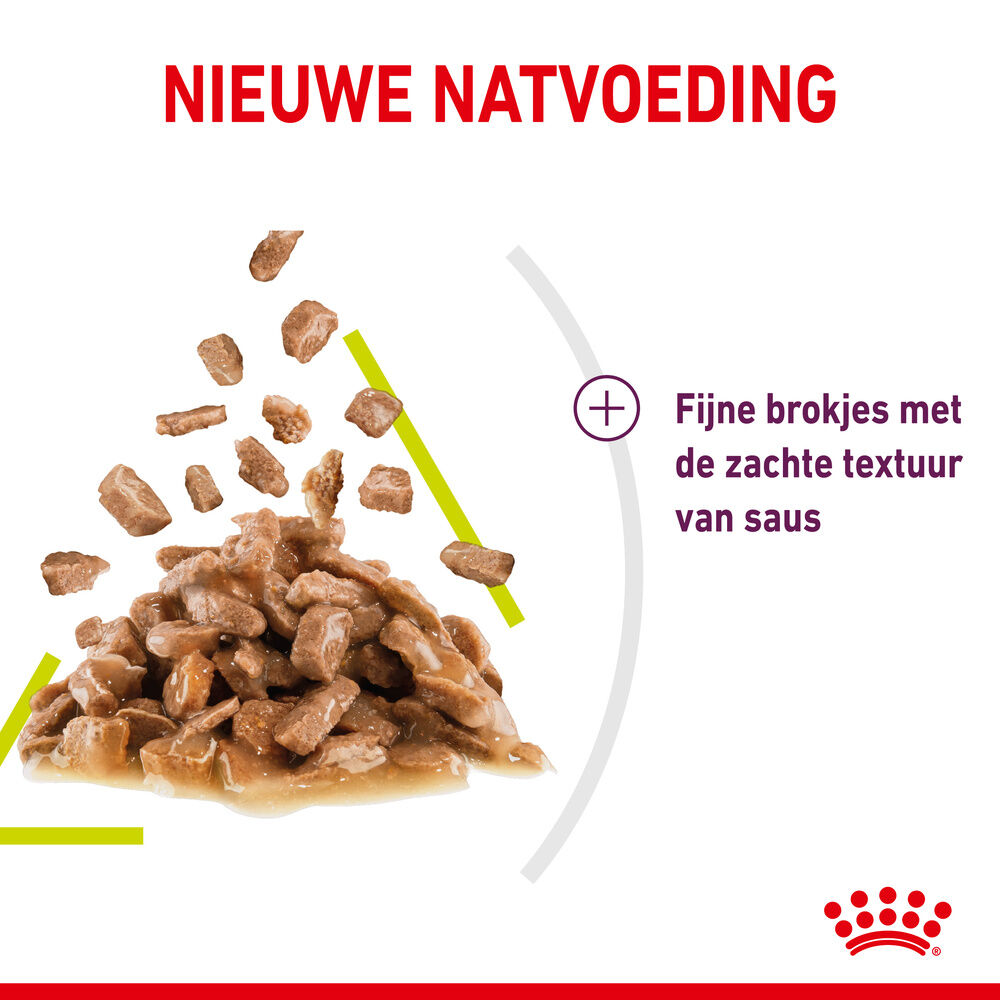 Royal Canin Sensory Smell - Kattenvoer - 1020 Gram