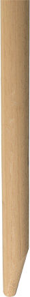 Welkoop  - Losse Stelen - 170 cm