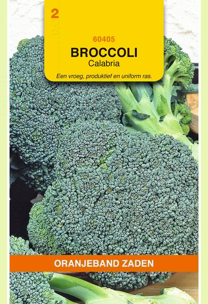 Oranjeband zaden Broccoli Calabria - Groentezaden