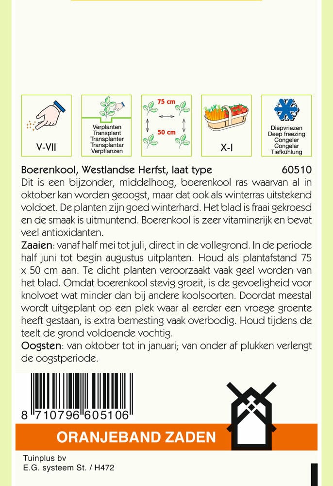 Oranjeband zaden Boerenkool Westlandse herfst - Groentezaden