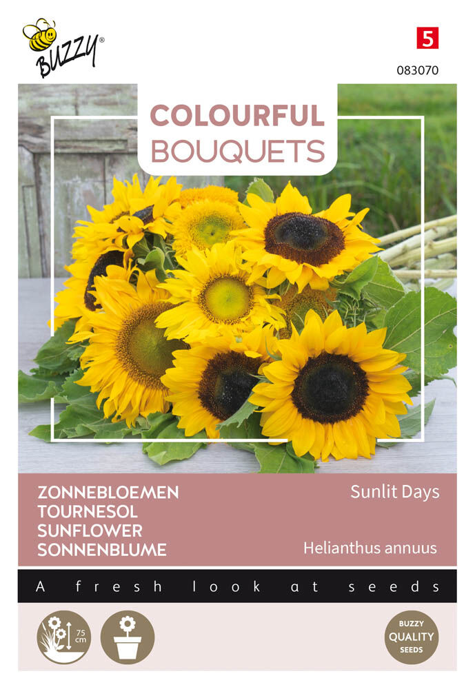 Buzzy Colourful Bouquets Sunlit Days - Bloemzaden