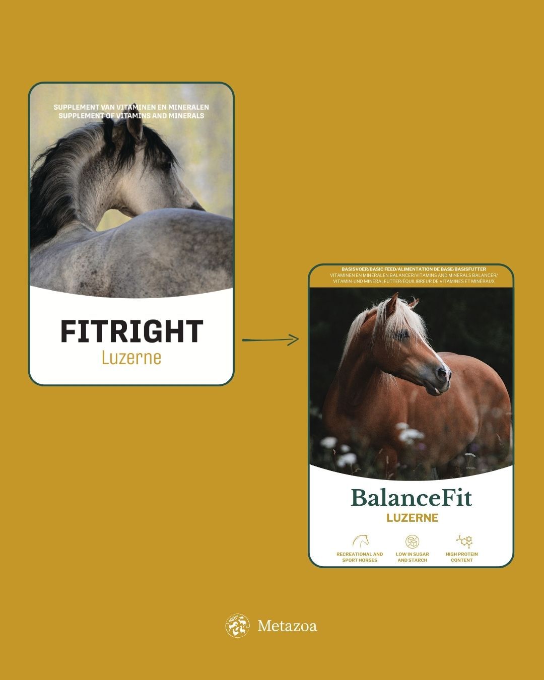 Metazoa Fitright Luzerne - Specialiteit - Paardenvoer - 15 Kilogram - Zak