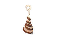 Quapas! Hanger Schijf Hout - Knaagdierspeelgoed - 20x6.5x6.5 cm