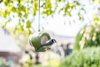 CJ Wildbird Foods Rio - Pindakaaspothouder - 10.5x8x6.1 cm