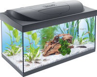 Tetra Starter line - Aquarium - 32x36x61 cm