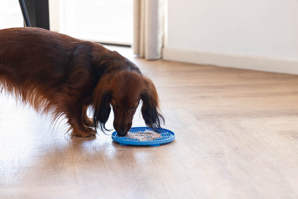 Beeztees Pizza - Likmat