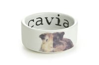 Beeztees Voer of drinkbak Snapshot cavia - Wit - 5x4x10 cm