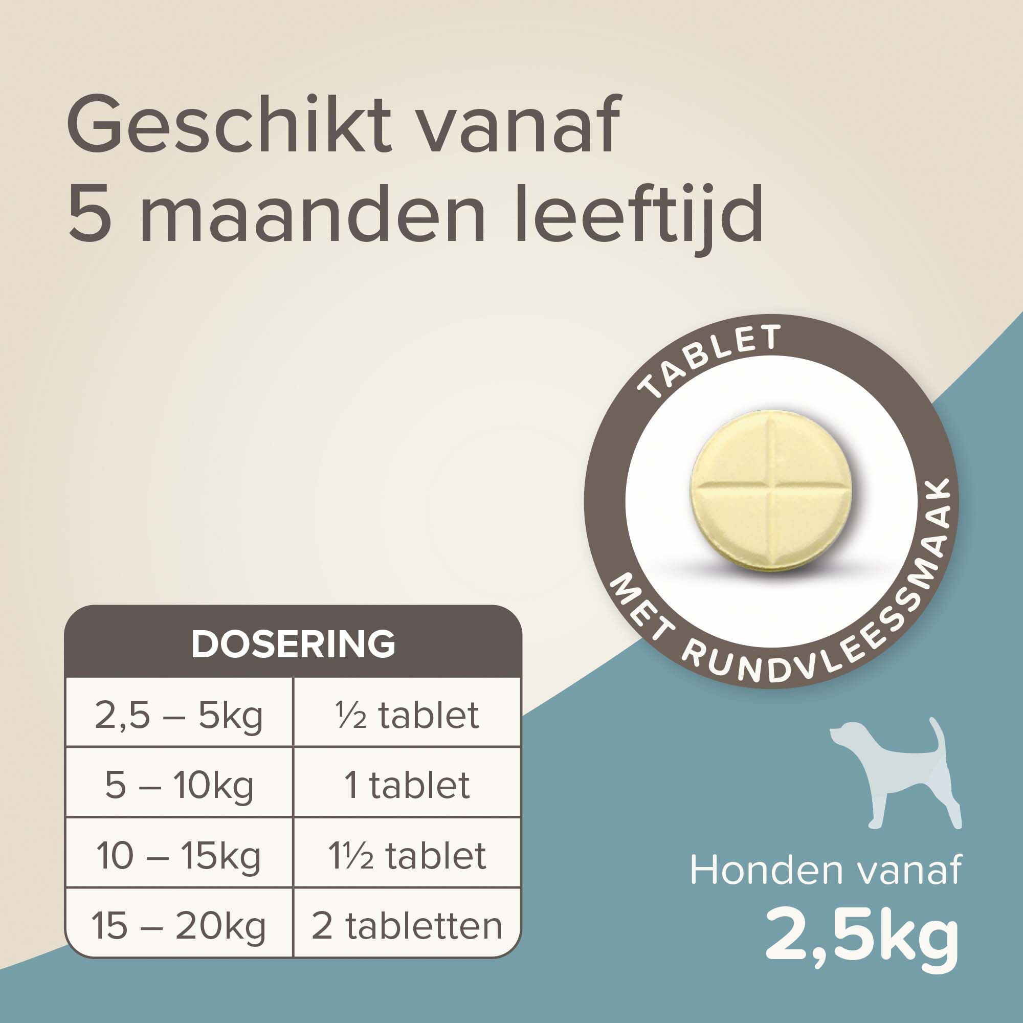 Beaphar All-in-one Tabletten - Ontwormen Hond - 2 Stuks - S