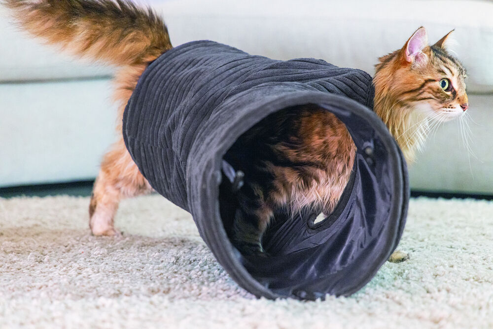 Designed by Lotte Rib - Kattentunnel - Terracotta