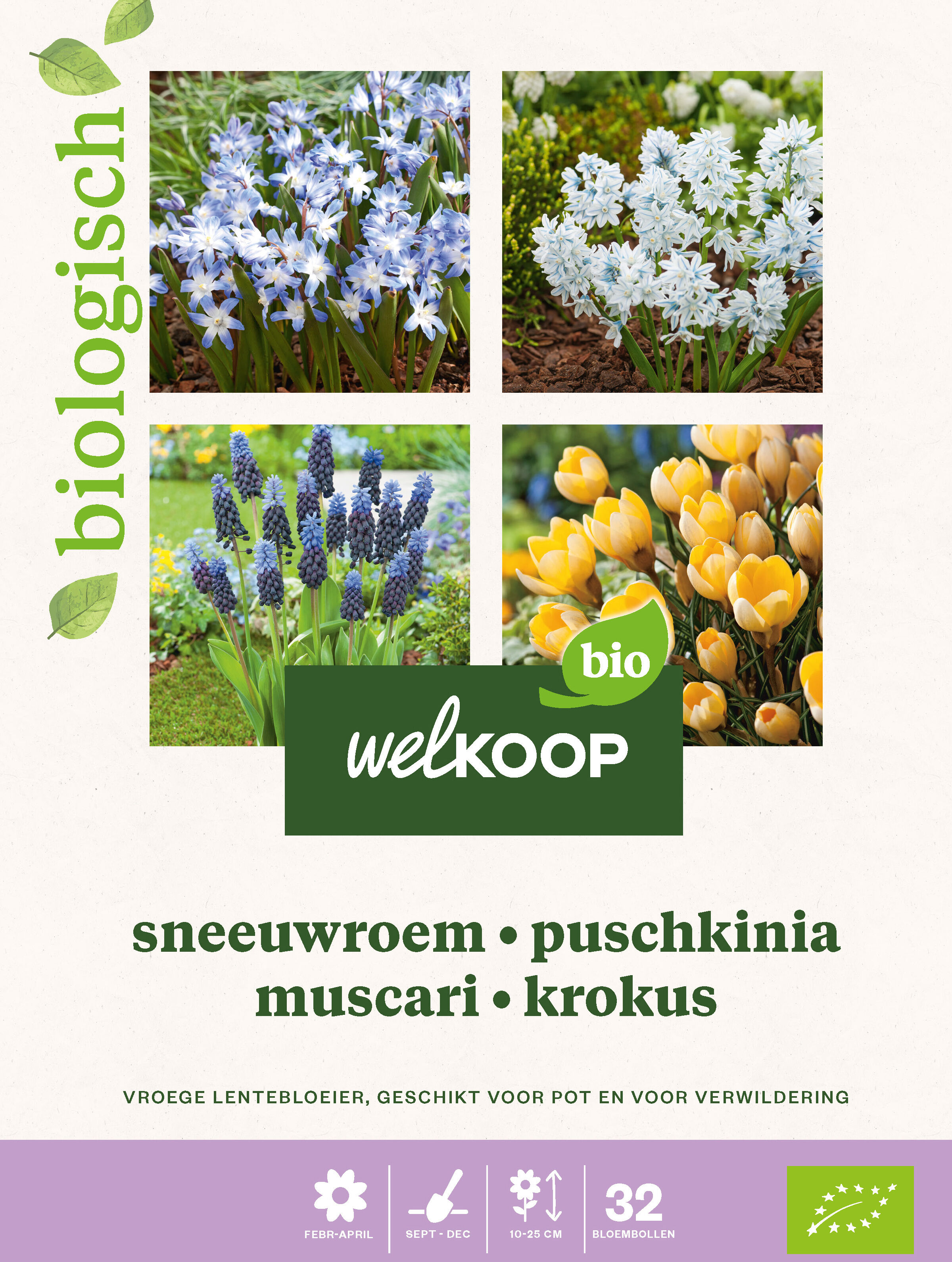 Welkoop Hyacint Sneeuwroem blauwe druifjes krokus Biologisch - Bloembollen