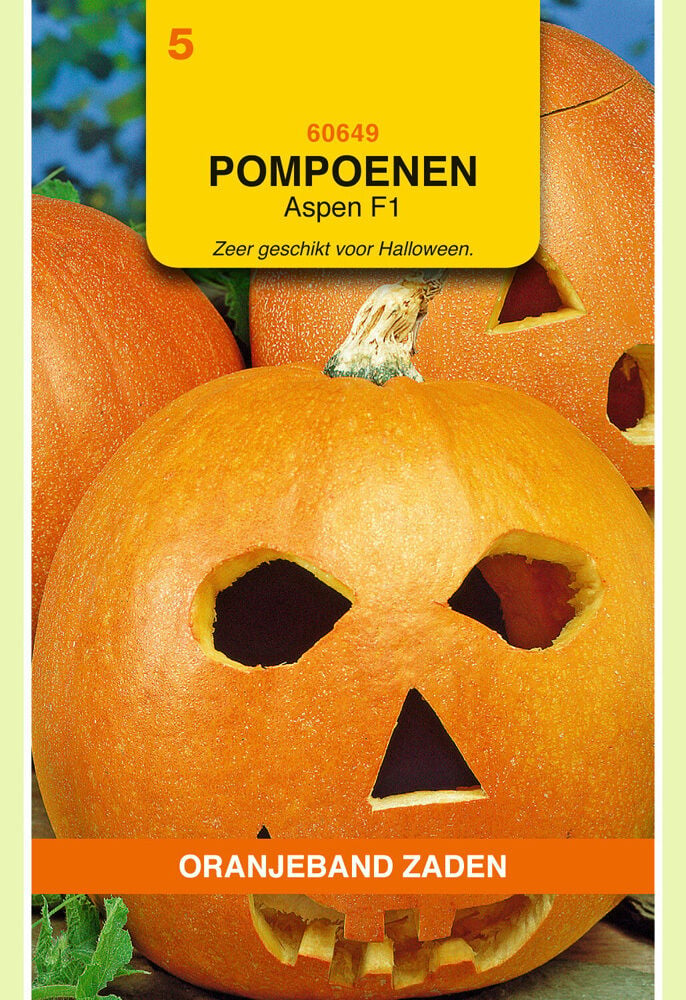 Oranjeband zaden Pompoenen Aspen F1 - Groentezaden