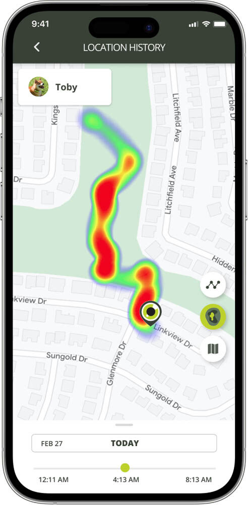 Kippy Dogg - GPS tracker Hond - Groen