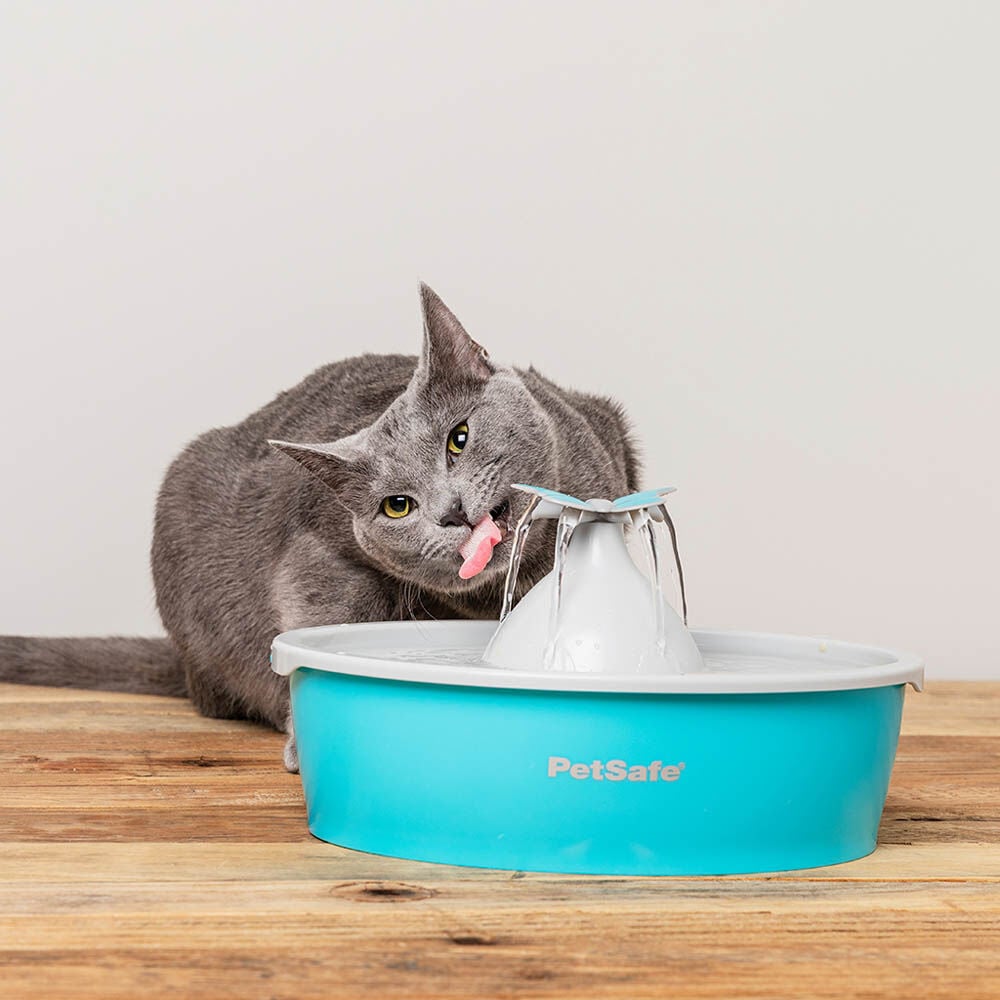 Petsafe Butterfly - Drinkfontein - 0.5 l - Blauw - 31x23x23 cm