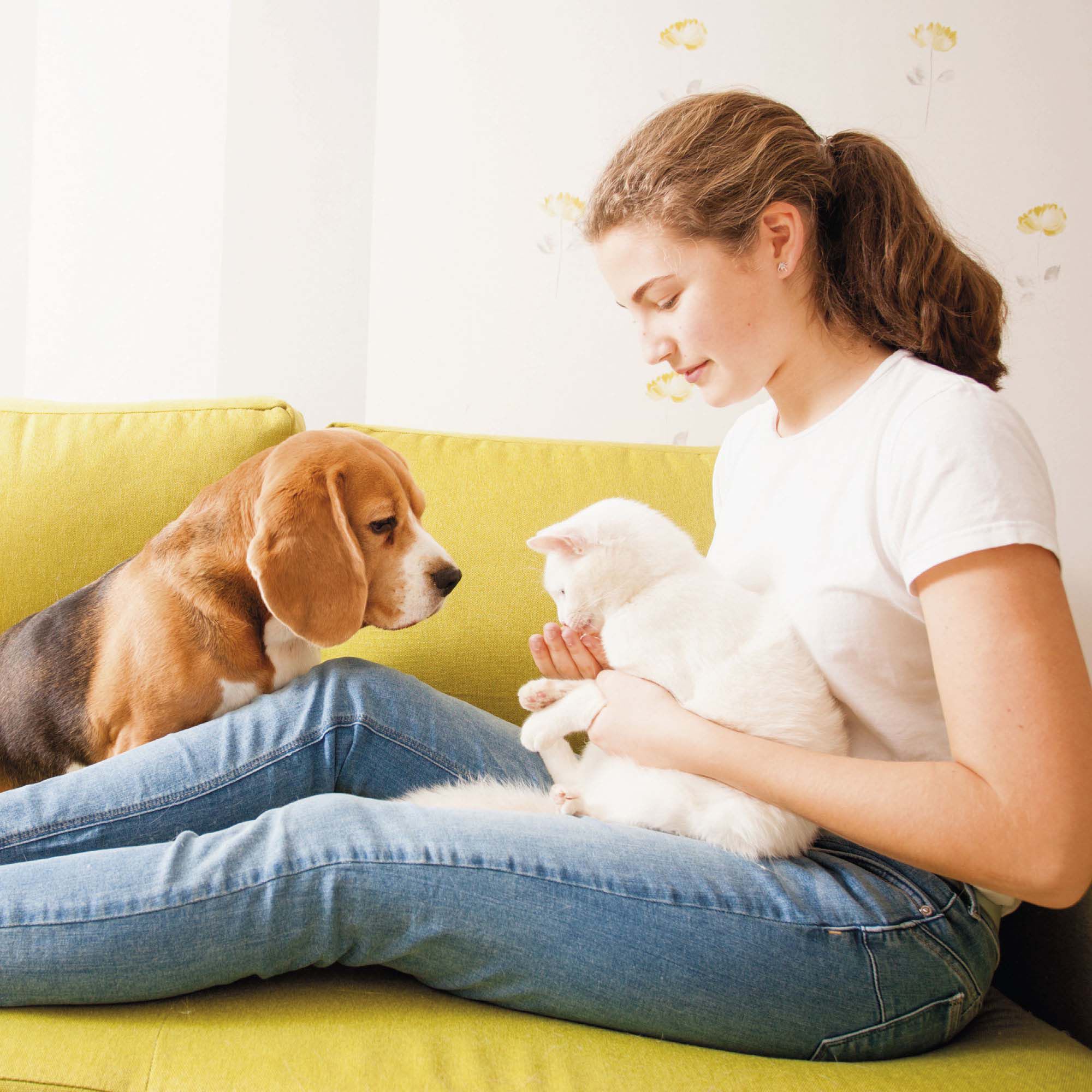 Beaphar No Stress- Tabletten - 20 Stuks