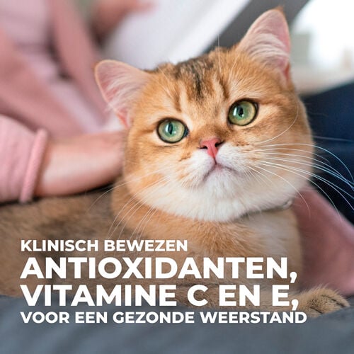 Hill's Science Plan Adult Sterilised - Kattenvoer - 1.5 Kilogram - kip