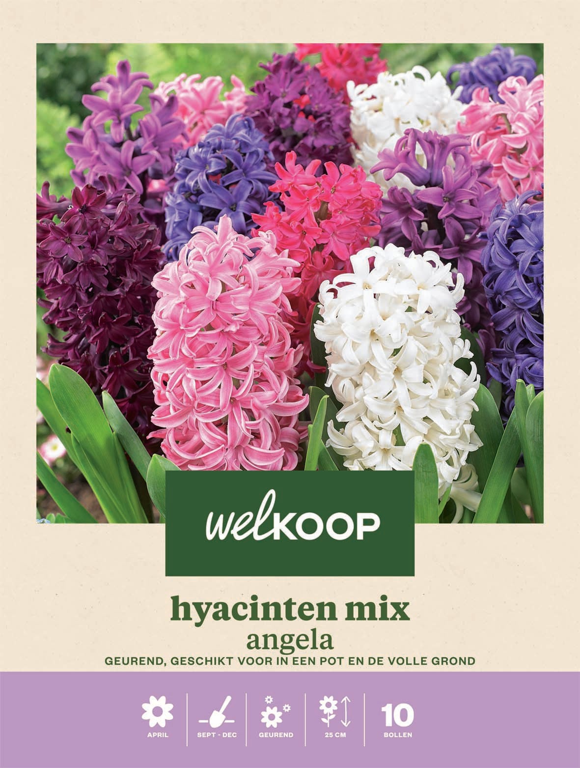 Welkoop Hyacinten mix Angela - Bloembollen Welkoop Hyacinten mix Angela - Bloembollen