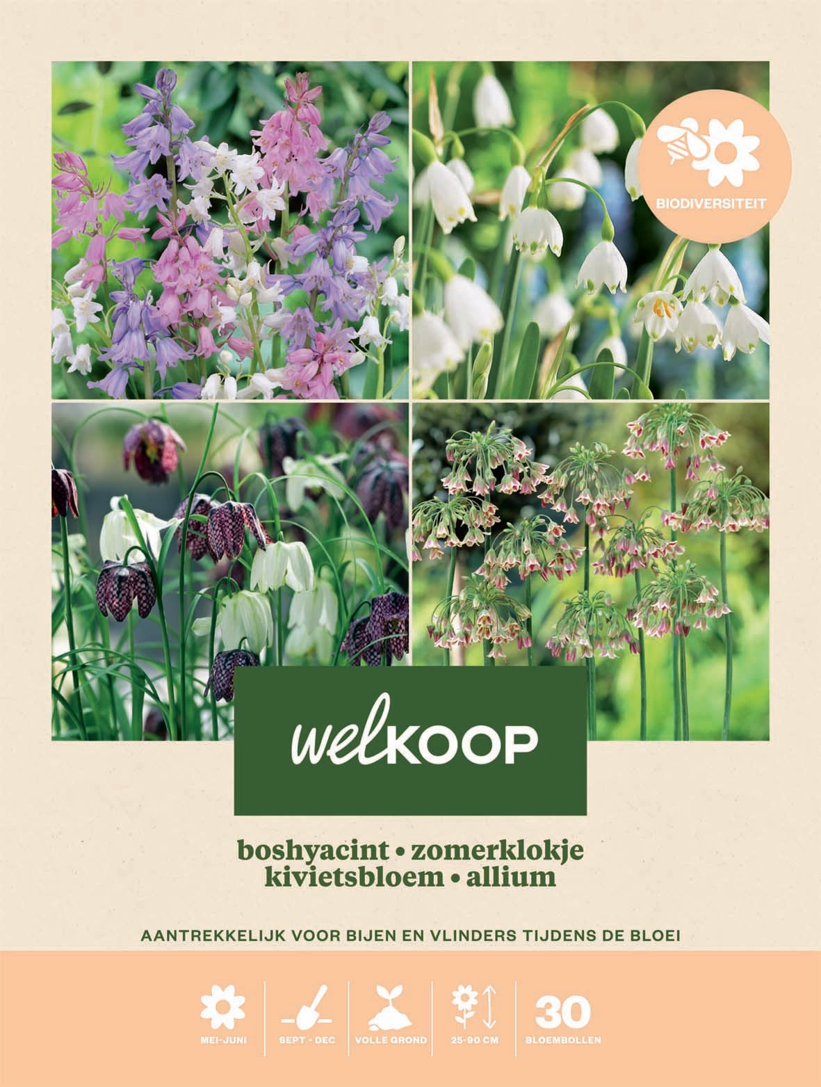 Welkoop Hyacint Kievitsbloem Allium Biodiversiteit - Bloembollen Welkoop Hyacint Kievitsbloem Allium Biodiversiteit - Bloembollen