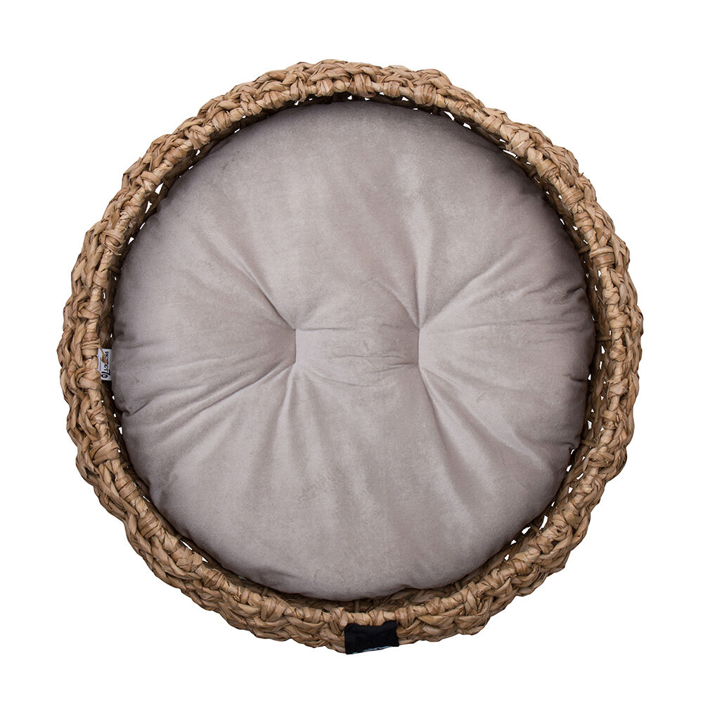 District 70 COCOON - Hondenmand - Bruin - M