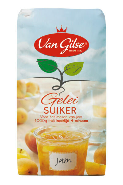 Van Gilse - Geleisuiker - 1 Gram Van Gilse - Geleisuiker - 1 Gram
