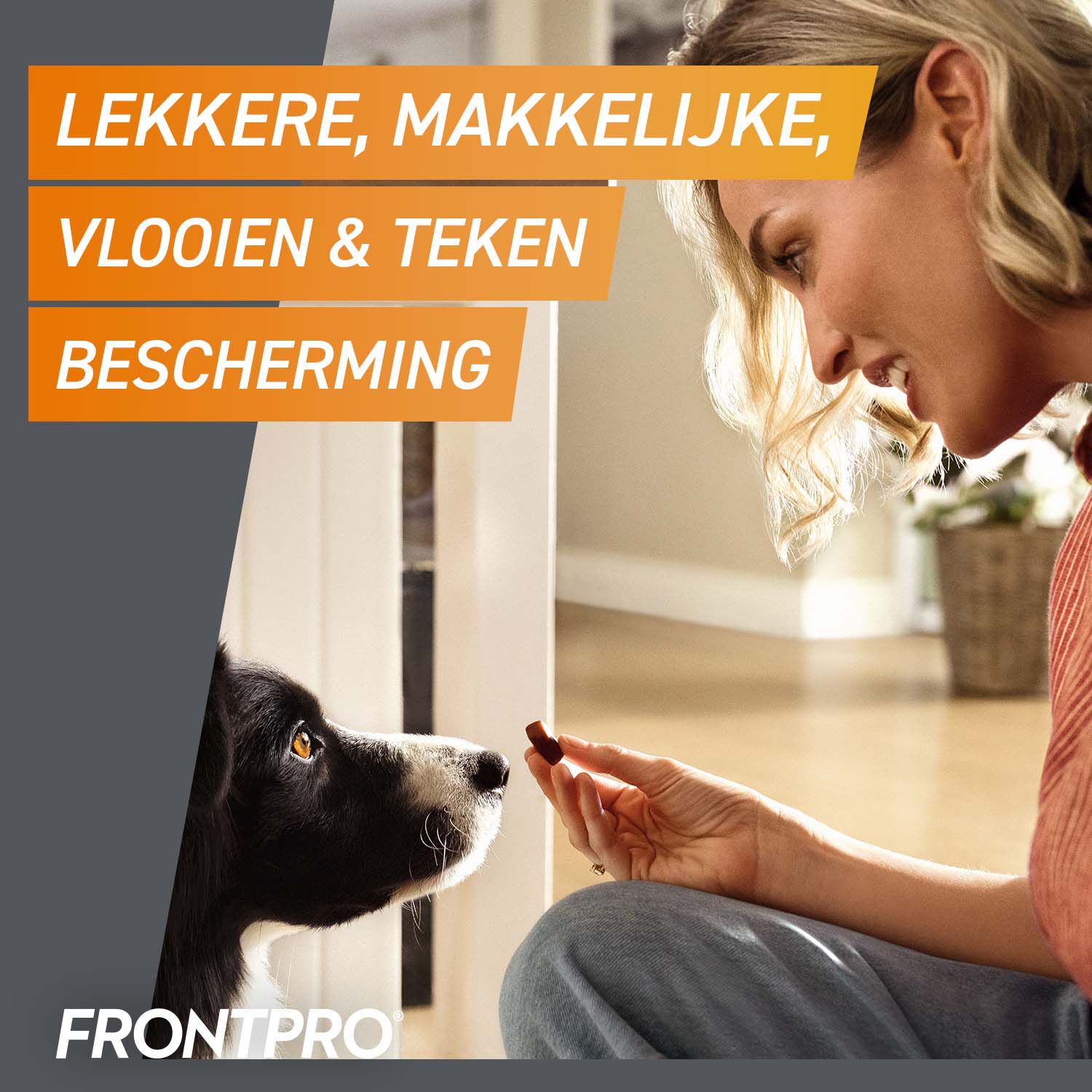 Frontpro Kauwtablet - Anti Vlooien en teken Hond - S - 3 Stuks - S