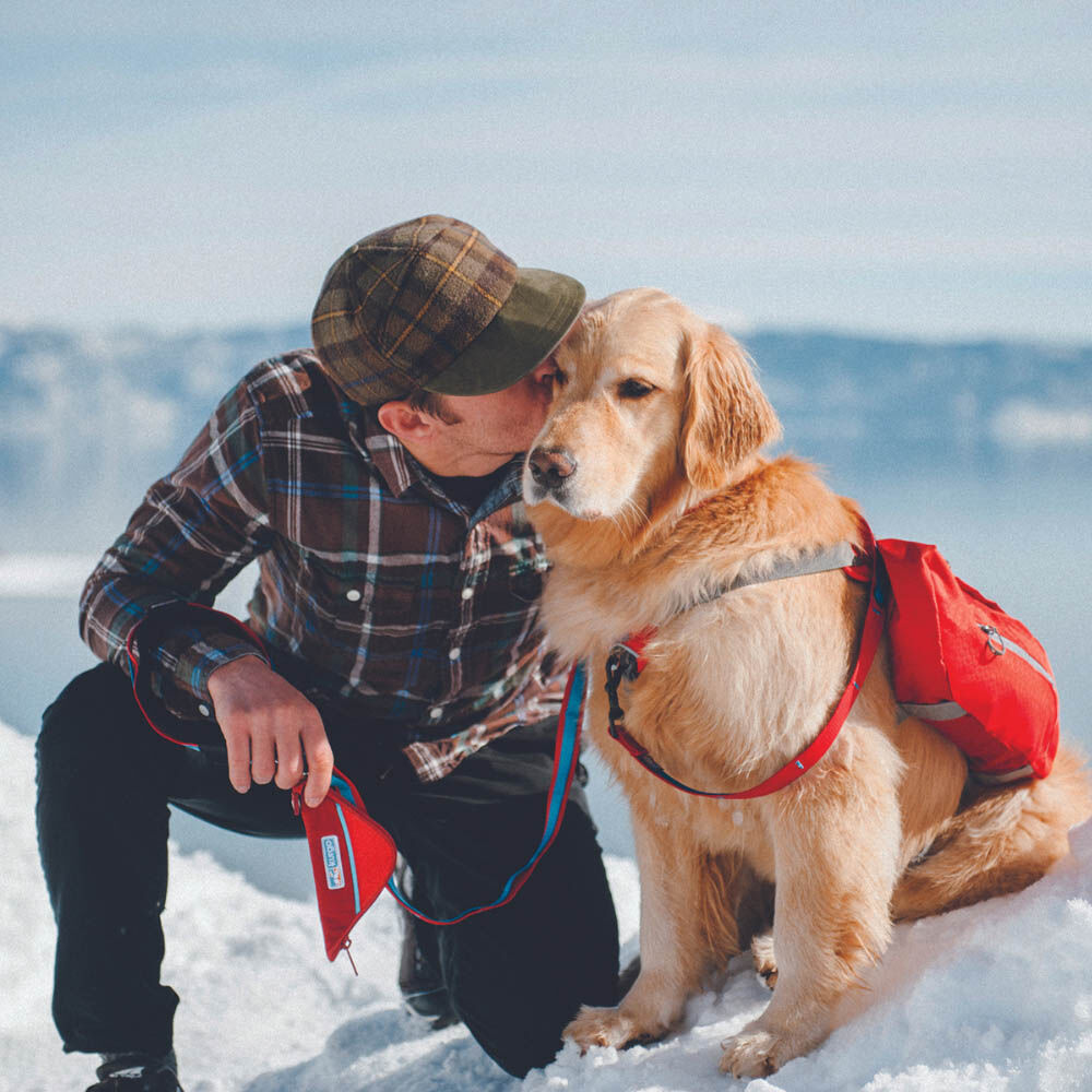 Kurgo Big Baxter Hondenrugzak - Reistas - Rood