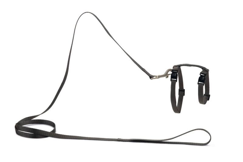 Beeztees Uni - Kattentuigje - Donkergrijs - 130 cm