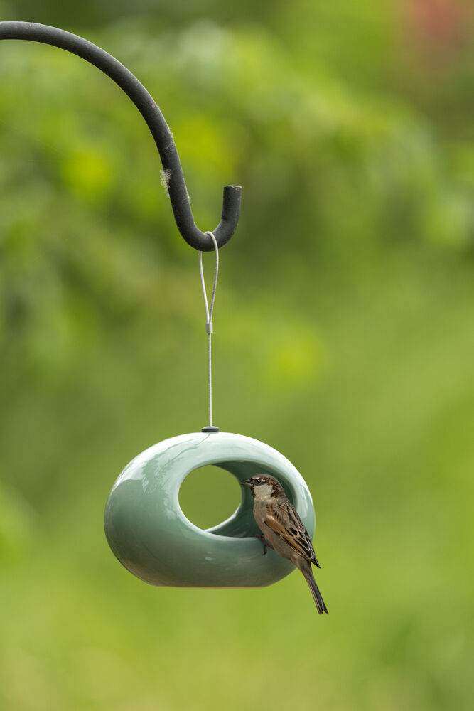 CJ Wildlife Selo - Waterschaal - Groen - 11x16x12 cm