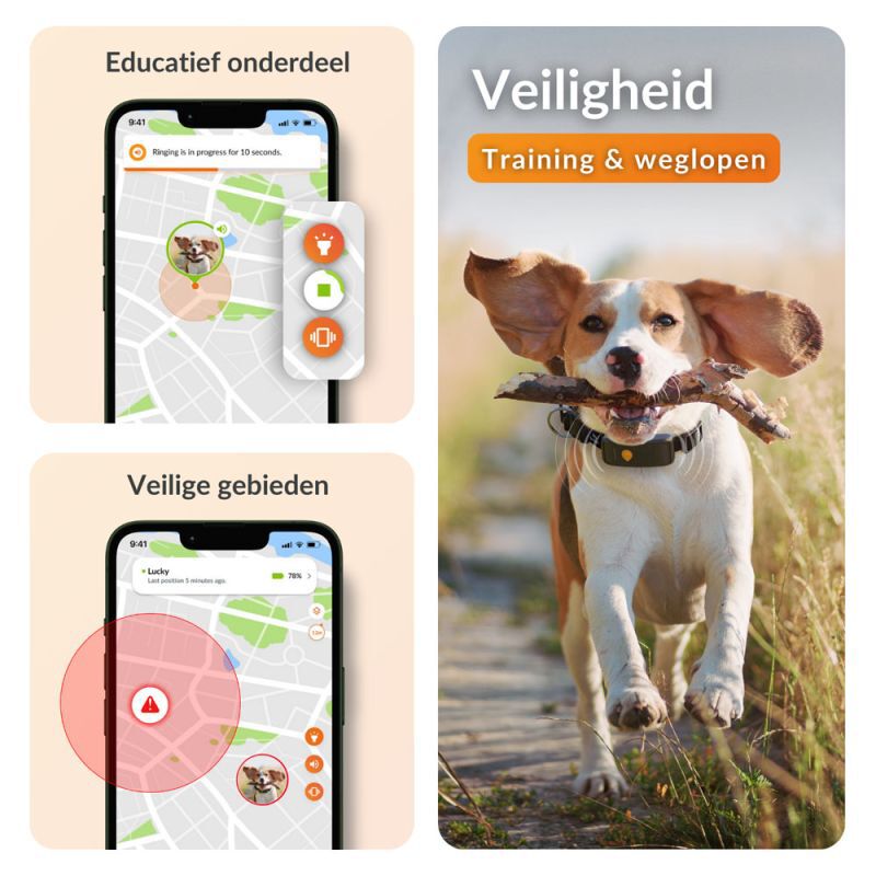 Weenect XT - Halsband met GPS tracker - Oranje