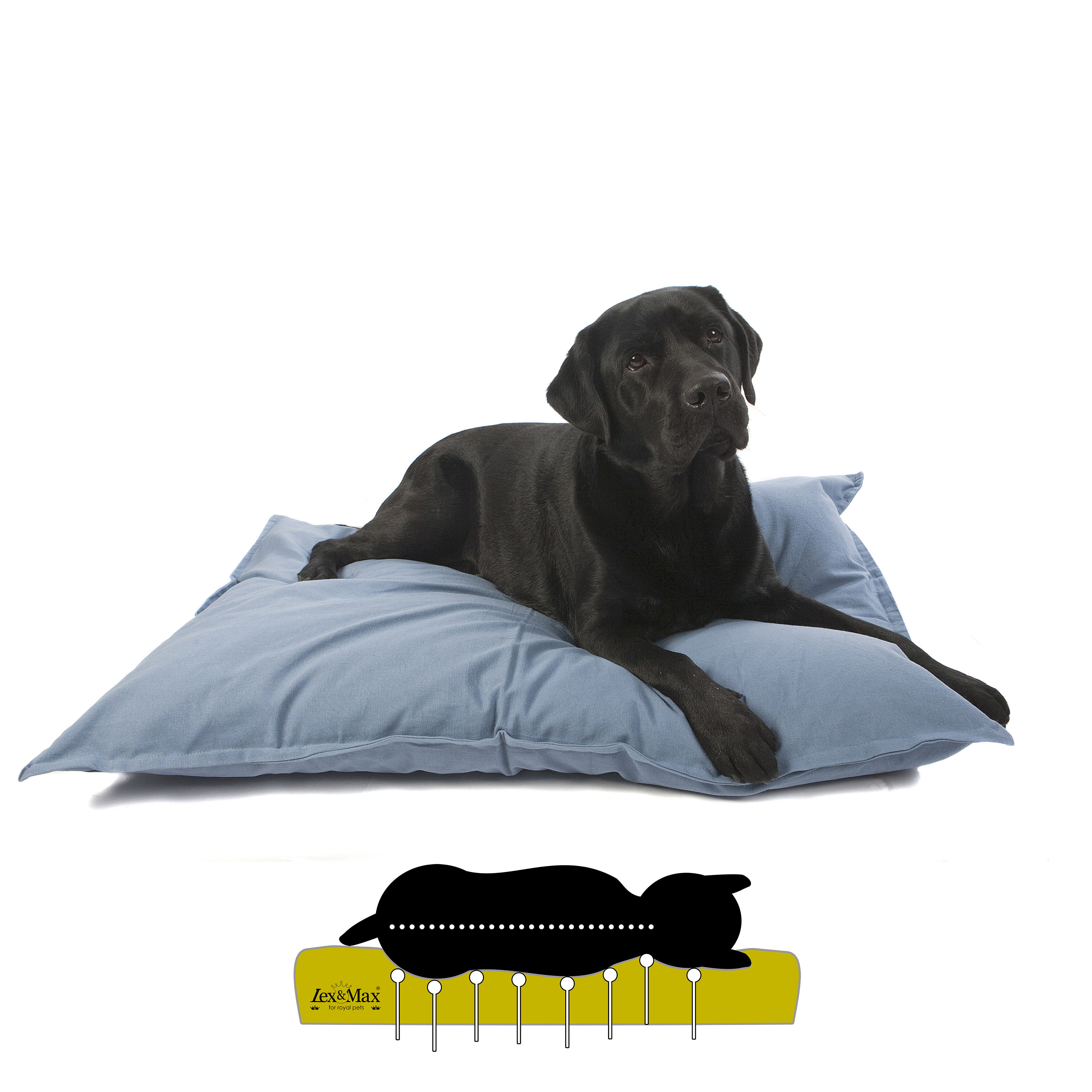 Lex & Max Tivoli - Orthopedisch Hondenkussen - Lichtblauw - 70x100x16 cm - L