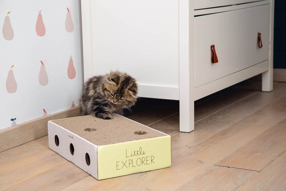 Beeztees Riva - Krabkarton - Multi - 1x25x1 cm