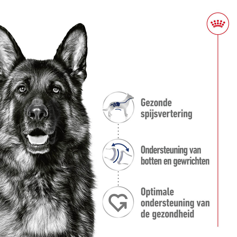 Royal Canin SHN Medium Puppy - Hondenvoer - 0.41 Kilogram - gevogelte
