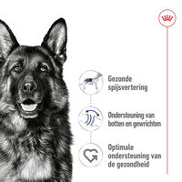Royal Canin SHN Medium Puppy - Hondenvoer - 0.41 Kilogram - gevogelte