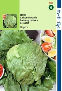 Hortitops Ijssla Lactuca sativa Raptor (vh Dublin) - Groentezaden