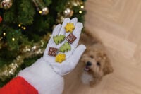 Beeztees mix - Kerstkoekjes - doos - 32 Stuks