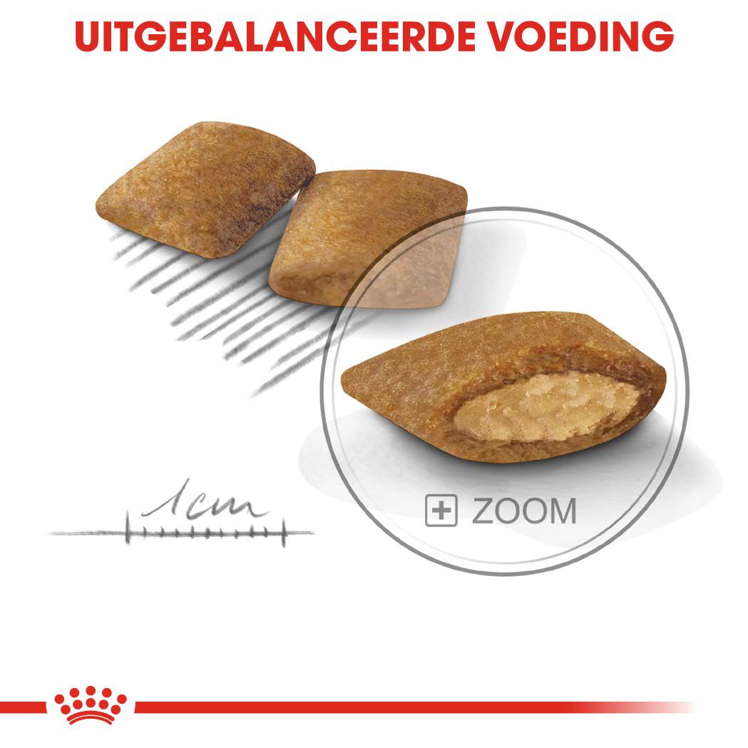Royal Canin Exigent Mini - Hondenvoer - 3 Kilogram - gevogelte
