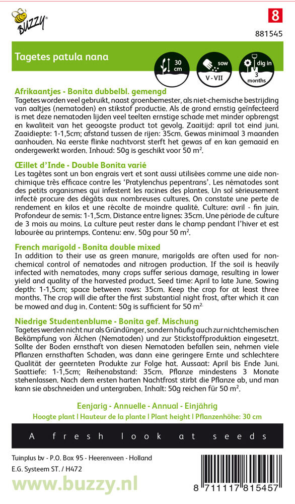 Buzzy Afrikaantje Tagetes - Groenbemester