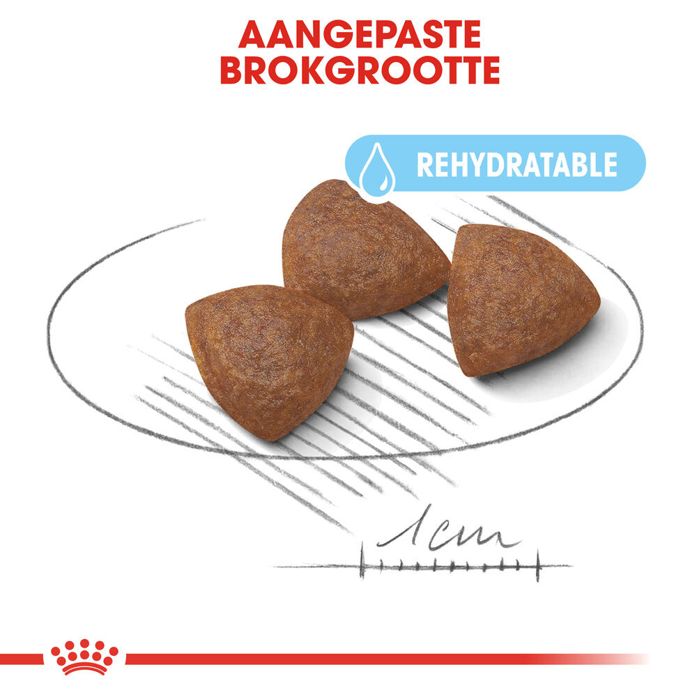 Royal Canin Medium Starter Mother and Babydog - Hondenvoer - 4 Kilogram - gevogelte