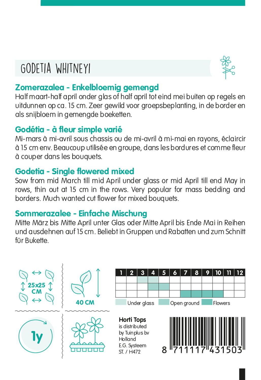 Hortitops Zomer Azalea Enkelbloemig - Bloemzaden