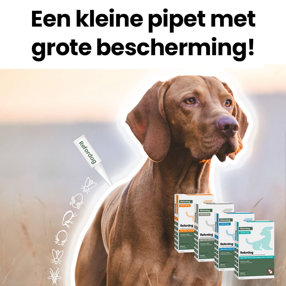 Refordog Spot - On - Pipetten - Anti vlooien en teken Hond - 3 pipetten - 3 Stuks